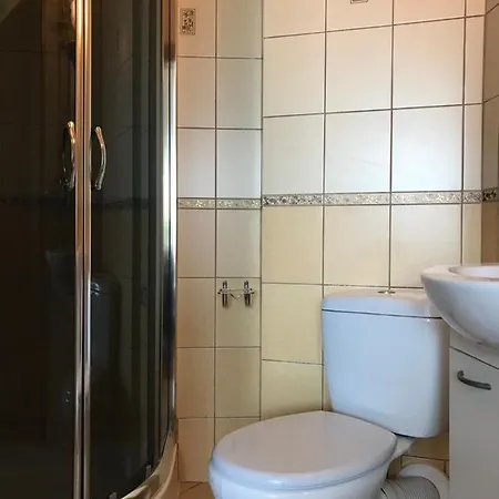 Guest house Goscinne Dana Leba