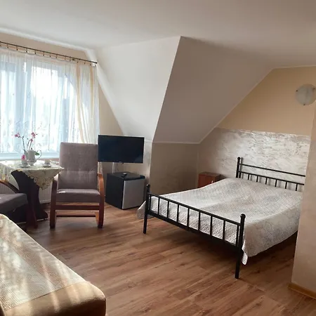 Guest house Goscinne Dana Leba